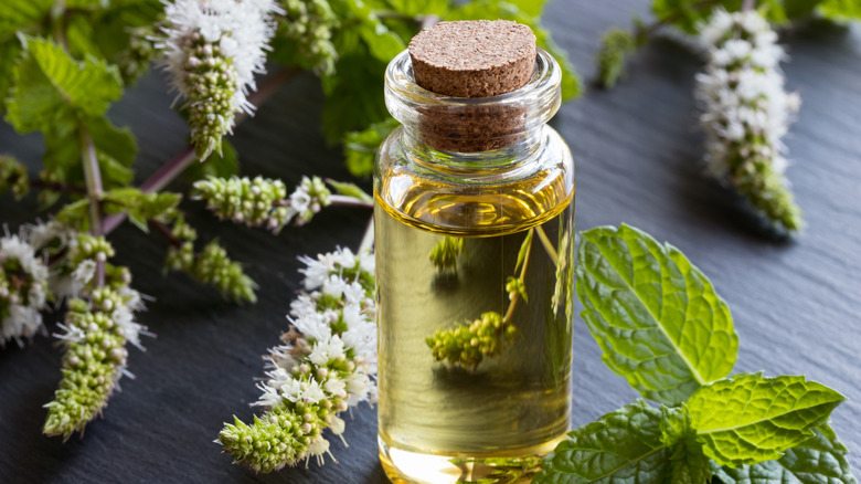 peppermint oil on table