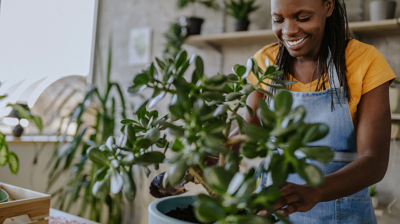 woman taking care of houseplant