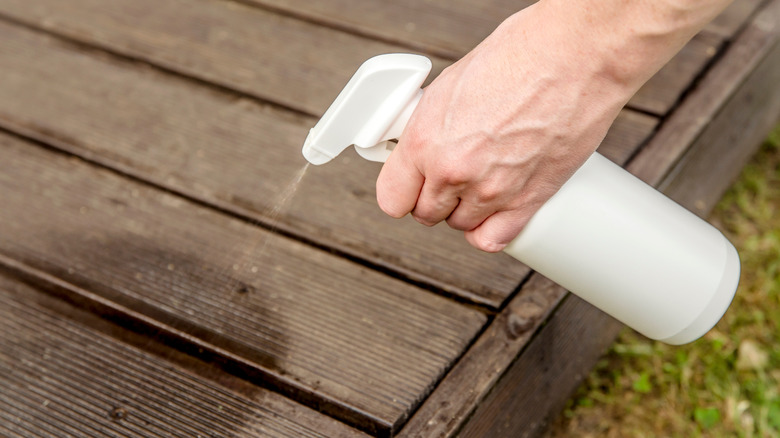 homemade repellent spray mixture in bottle.