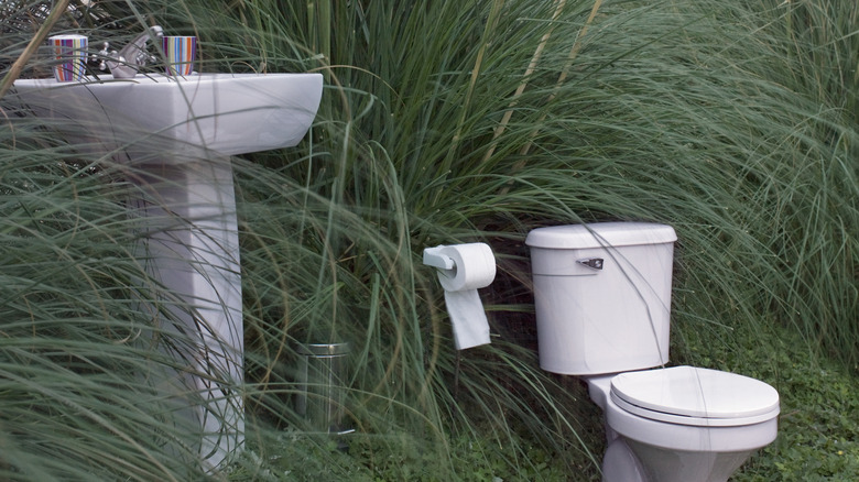 Toilet, sink, toilet paper roll, and garbage can outside near tall ornimental grass