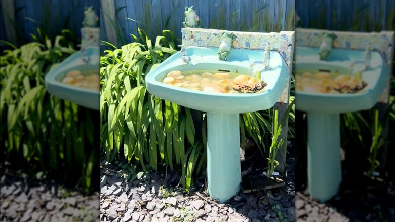 Blue pedestal sink bird bath with stones in the bottom and frog sculptures
