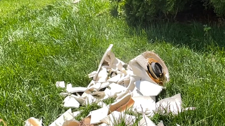 Smashed toilet on a green lawn