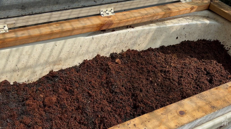 Old bathtub with wood frame filled with dirt