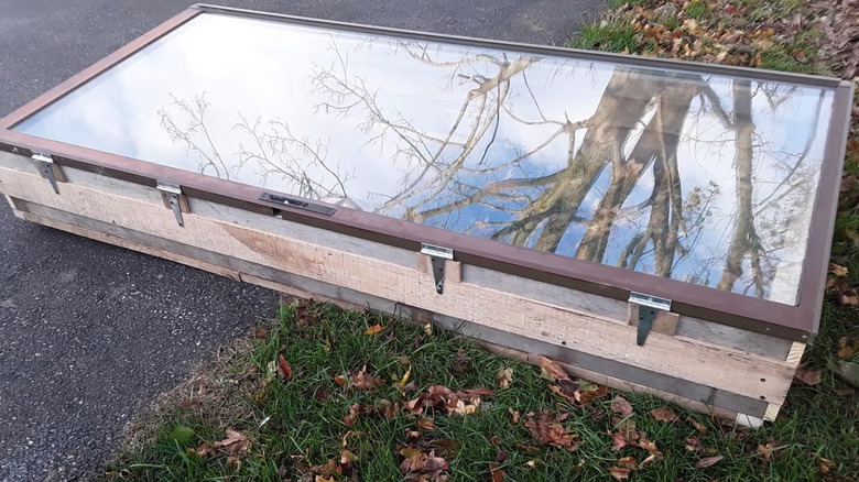 Cold frame with a glass door as the lid on a driveway
