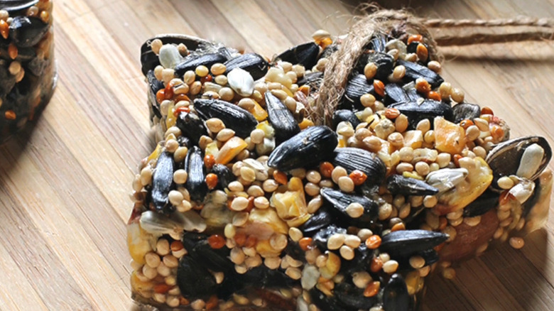 Close-up of a star-shaped bird treat with various seeds in it made using a cookie cutter as a mold