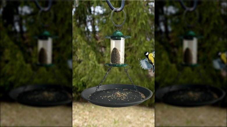 The base of a bird feeder is pushed into a large black pan to catch falling bird seed from above.