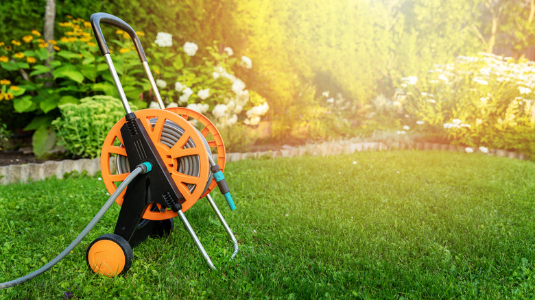 A hose reel in a yard