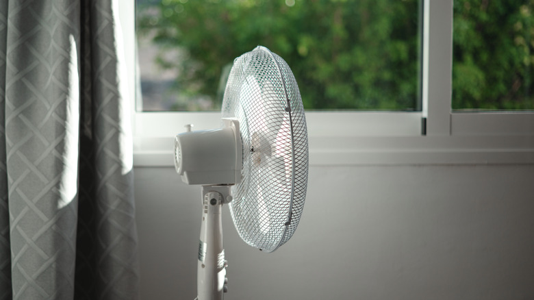 White fan placed by interior window