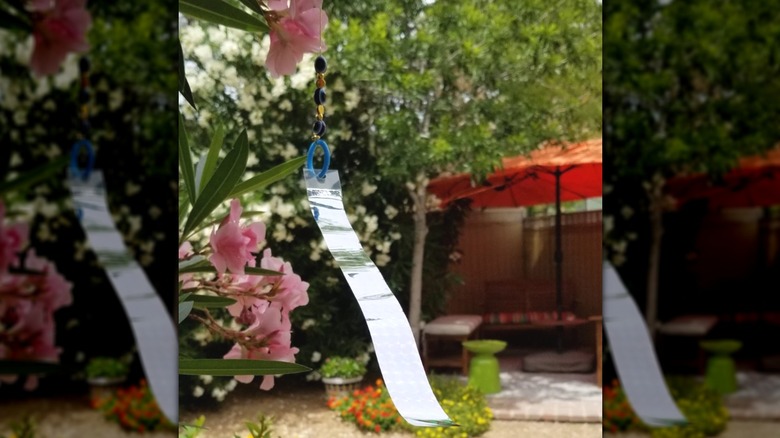 Silver reflective strip hanging in a garden to deter birds