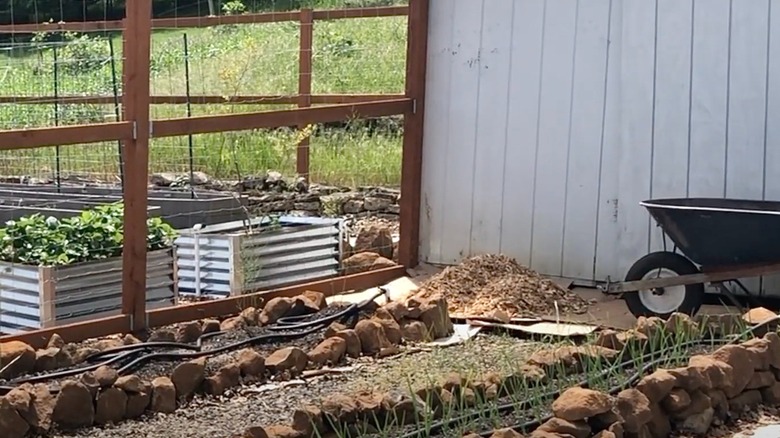A garden path with a cardboard base and wood chips laid over it