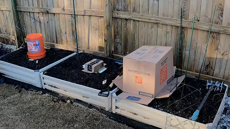 One large and one small box covering plants in a raised bed