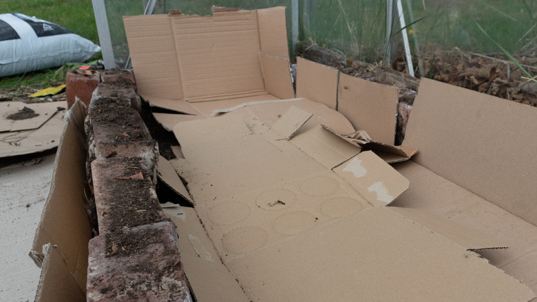 Broken-down cardboard boxes lining the bottom of a raised bed