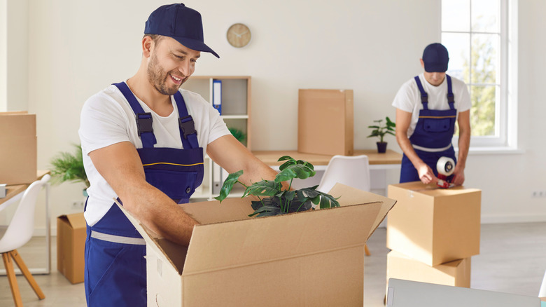 A mover takes a large green plant out of a cardboard box