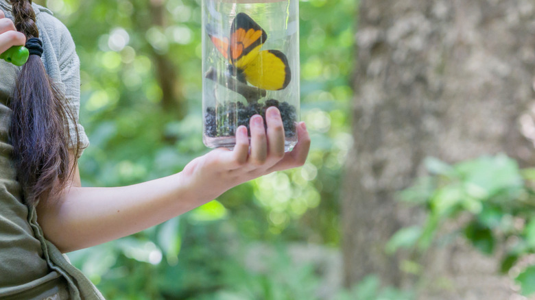 A girl holds a bug catcher with a butterfly inside made from a parmesan cheese container.