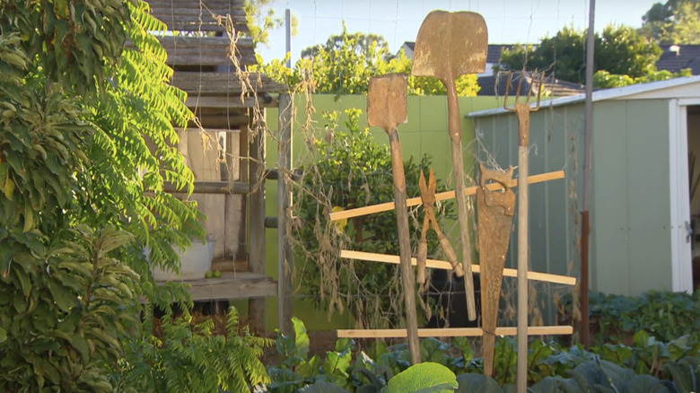 Shovel and other metal garden tools form the rungs of a trellis for climbing plants.