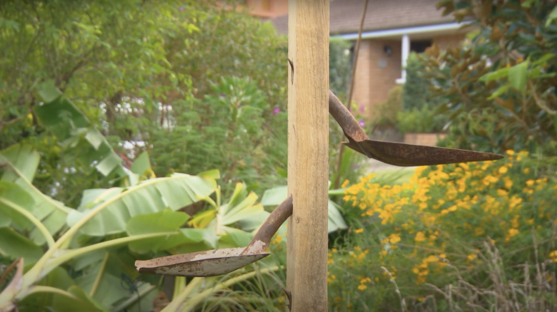 Shovel heads removed from their handles and fixed onto a tall pole make for great bird feeder dishes.