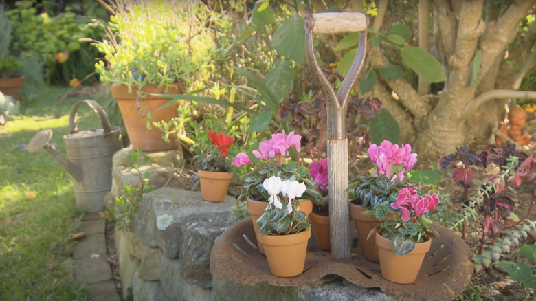 A plant caddy made from a shovel handle and an old metal tractor seat sit on the retaining wall of a garden bed.