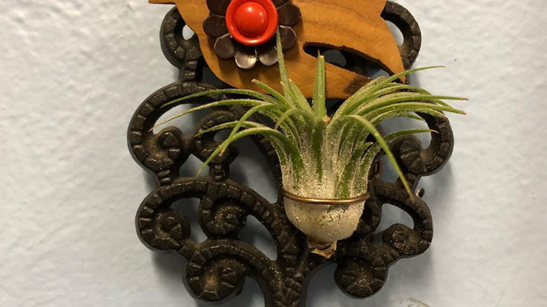 A metal trivet with a wood bird and air plant attached