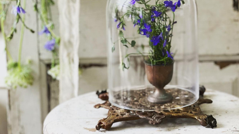 A metal trivet with a cloche containing small flowers