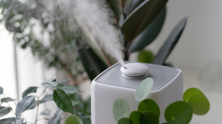 Close up of humidifier