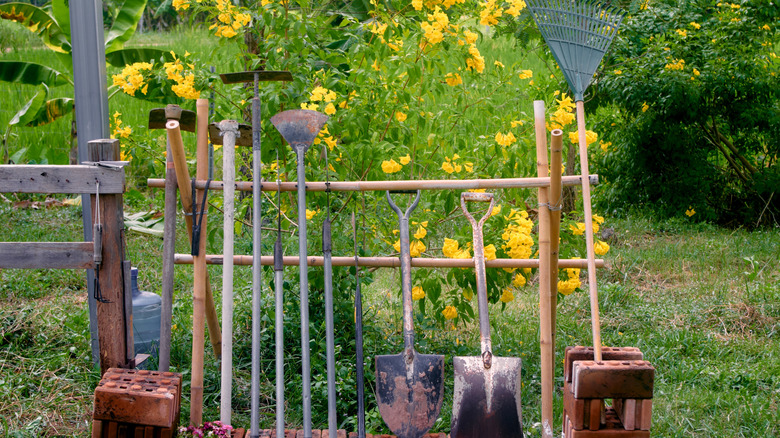 Several garden tools are lined up outside along a bamboo stand with yellow flowers in the background.
