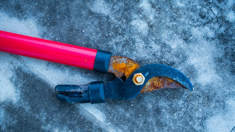 rusted garden tool