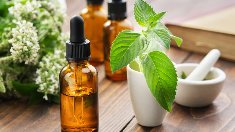 peppermint essential oil