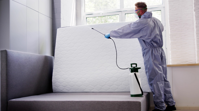 An exterminator sprays a pest control product on a white mattress