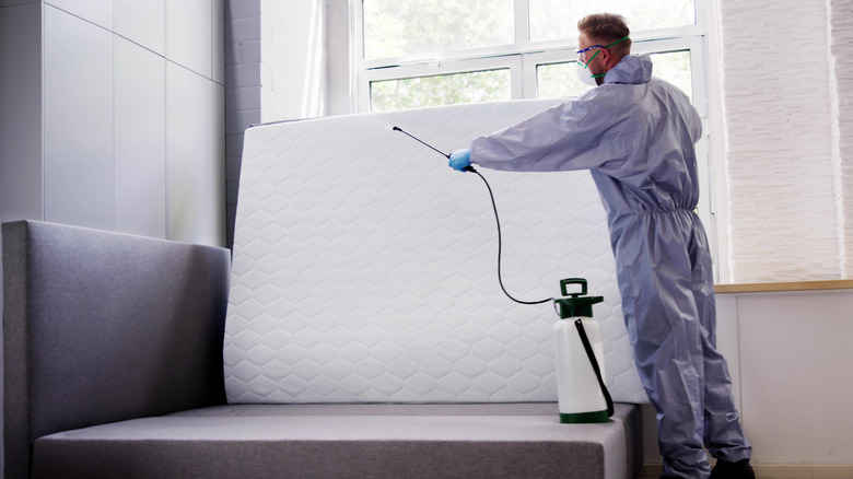 An exterminator sprays a pest control product on a white mattress