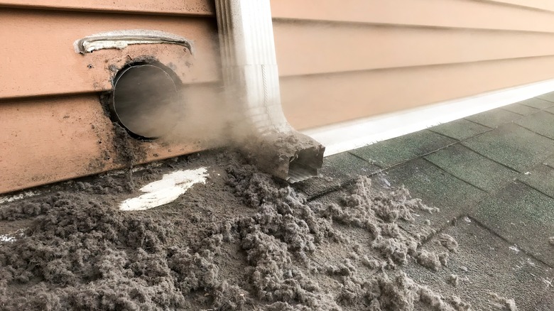 Lint from cleaned dryer vent