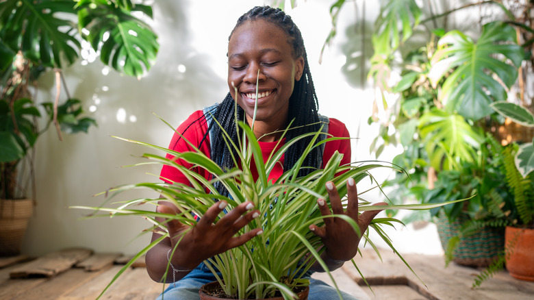 A woman smiling and gently holding the greens of a spider plant