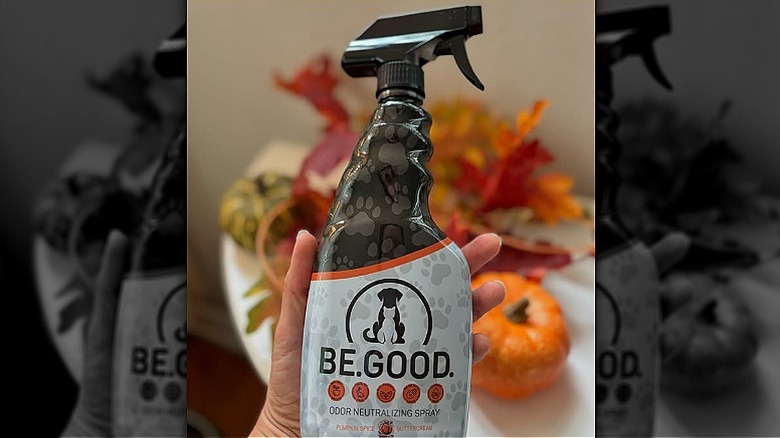 Be.Good. Pet Odor Eliminator spray bottle surrounded by fall foliage