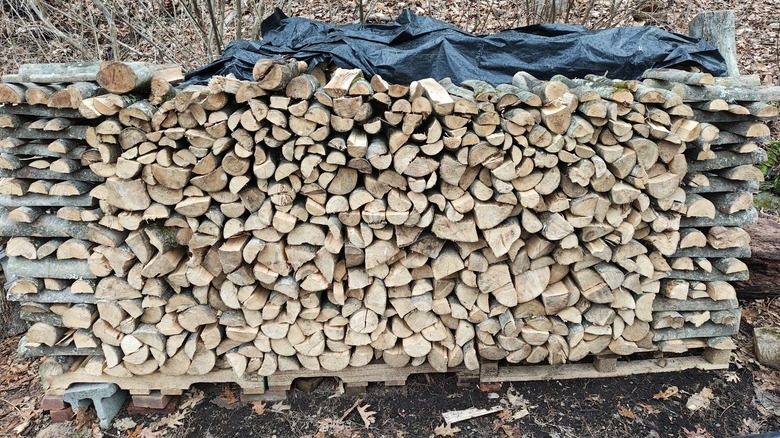 Split logs with alternating layers built as holders.