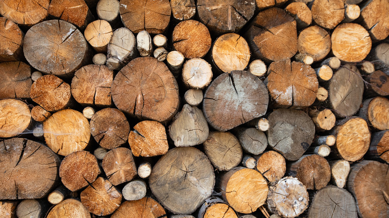Round firewood logs with large and small diameters mixed.