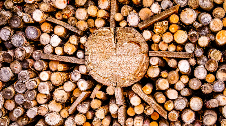 Wood pile of round logs with sunburst design in center.