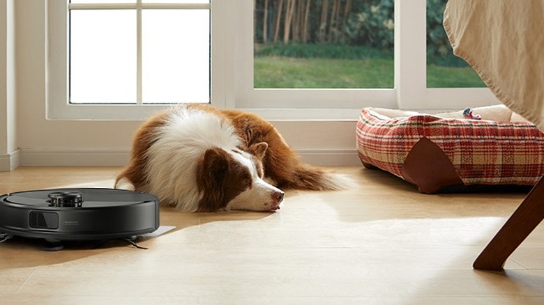 A dog is sleeping beside a black robot vacuum