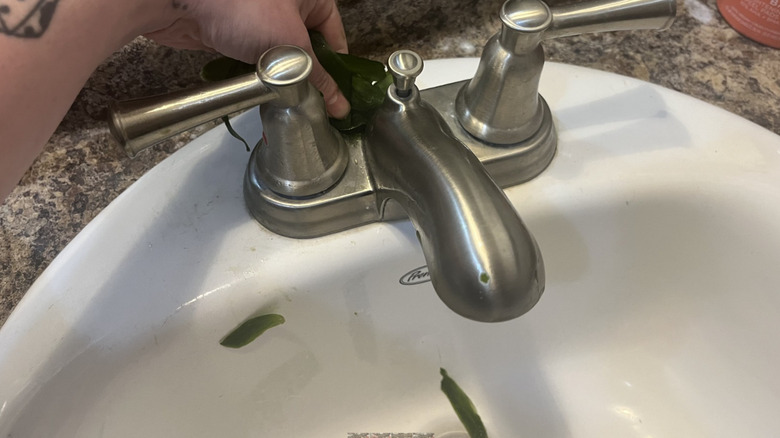 Cucumber peels and residue on a stainless steel faucet