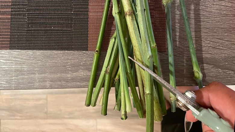 Cutting the flower stems