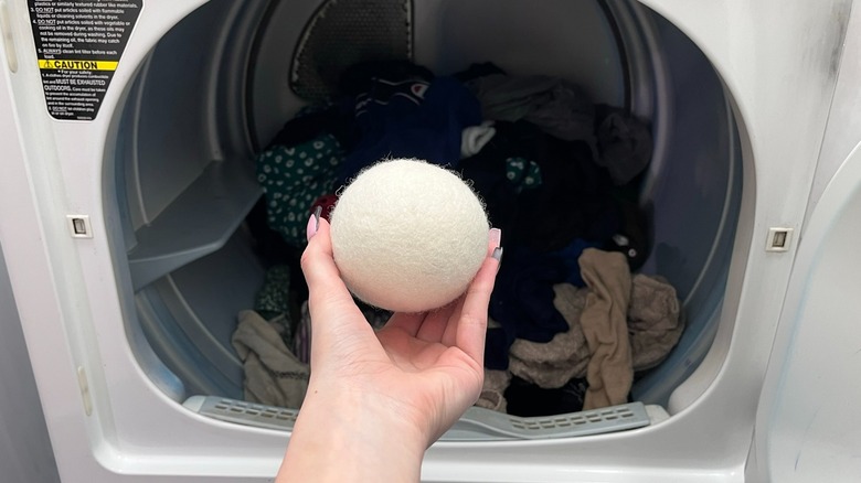 Everspring dryer ball and dryer