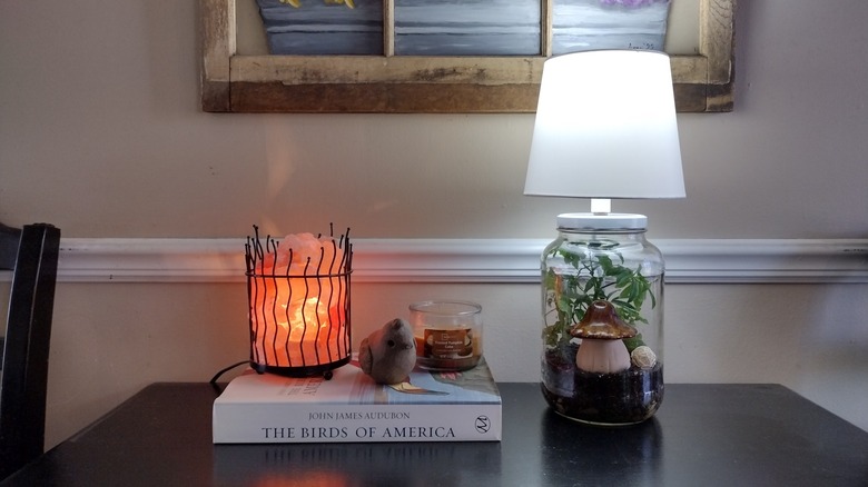 pickle jar terrarium lamp