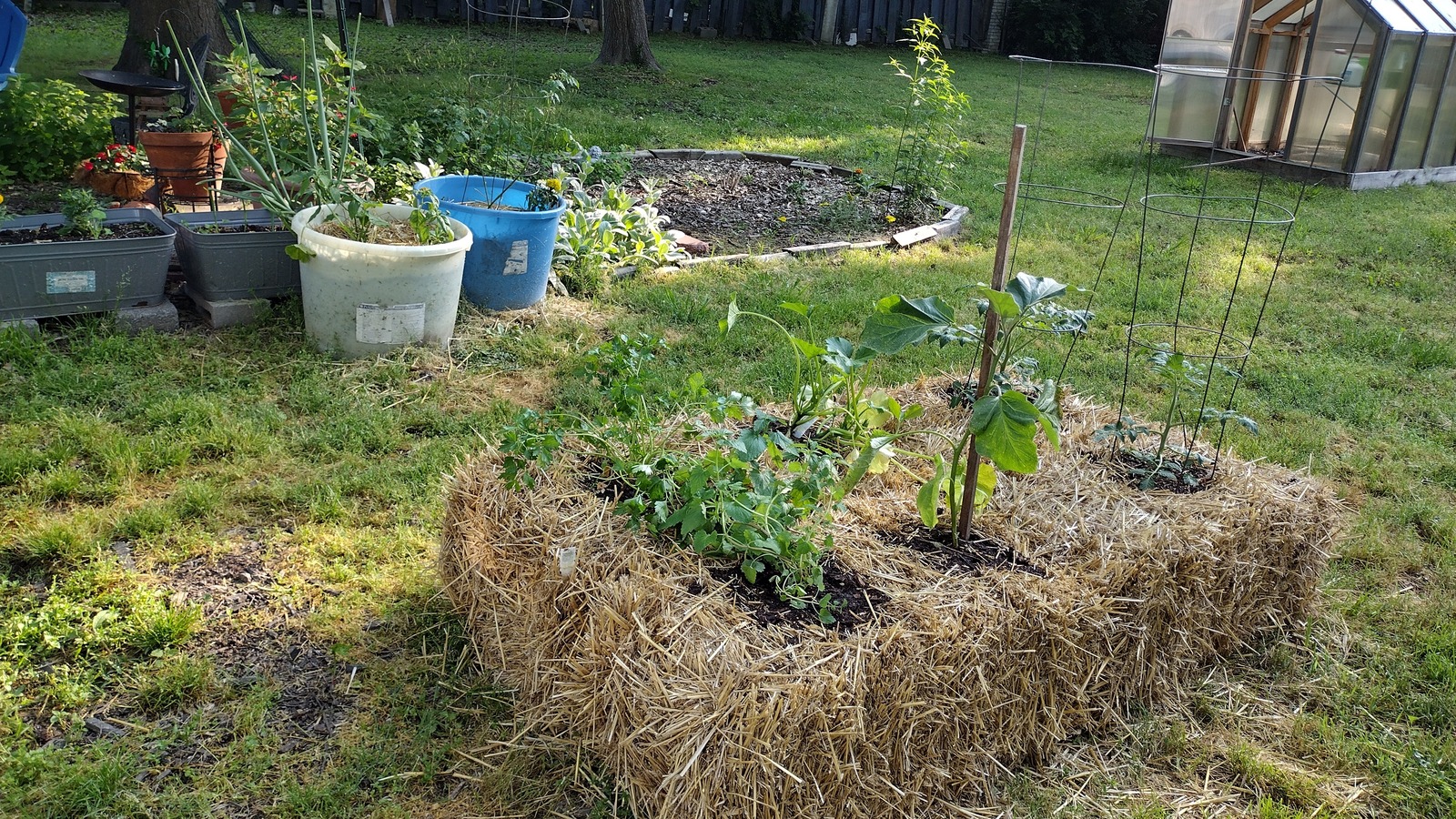Raised Garden Hay Bales Gardening For The Future Hay And Straw
