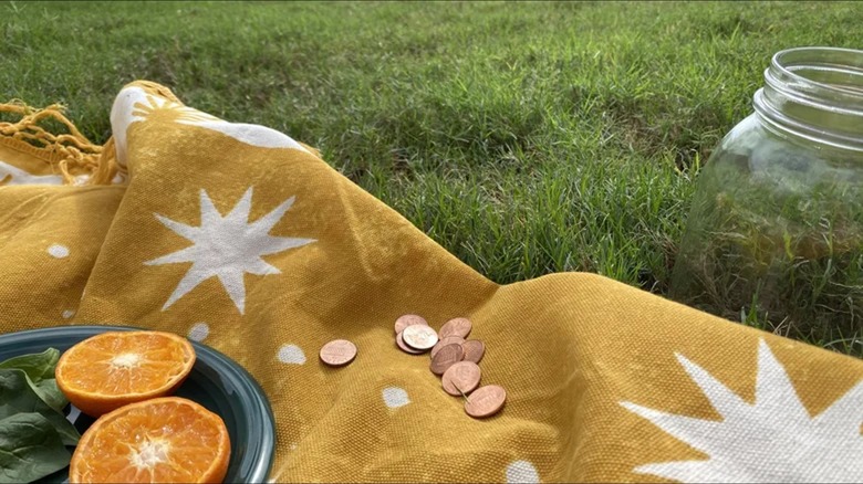 Pennies and food on picnic blanket