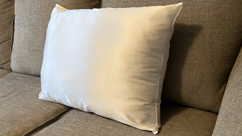 white pillow on couch