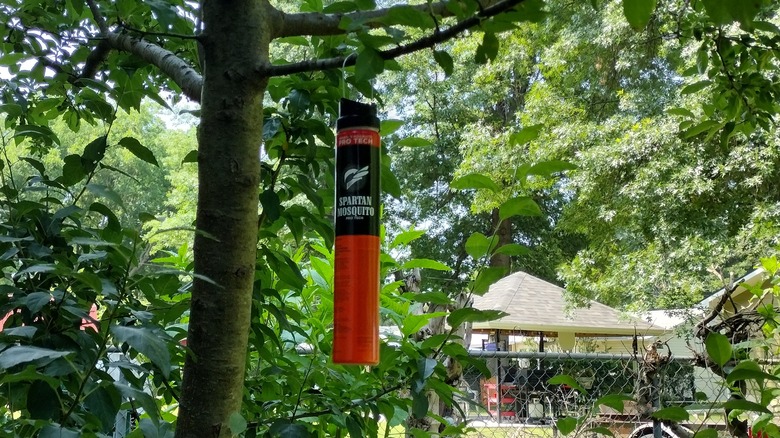 Mosquito killer hanging from tree