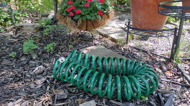 expert gardener spiral hose