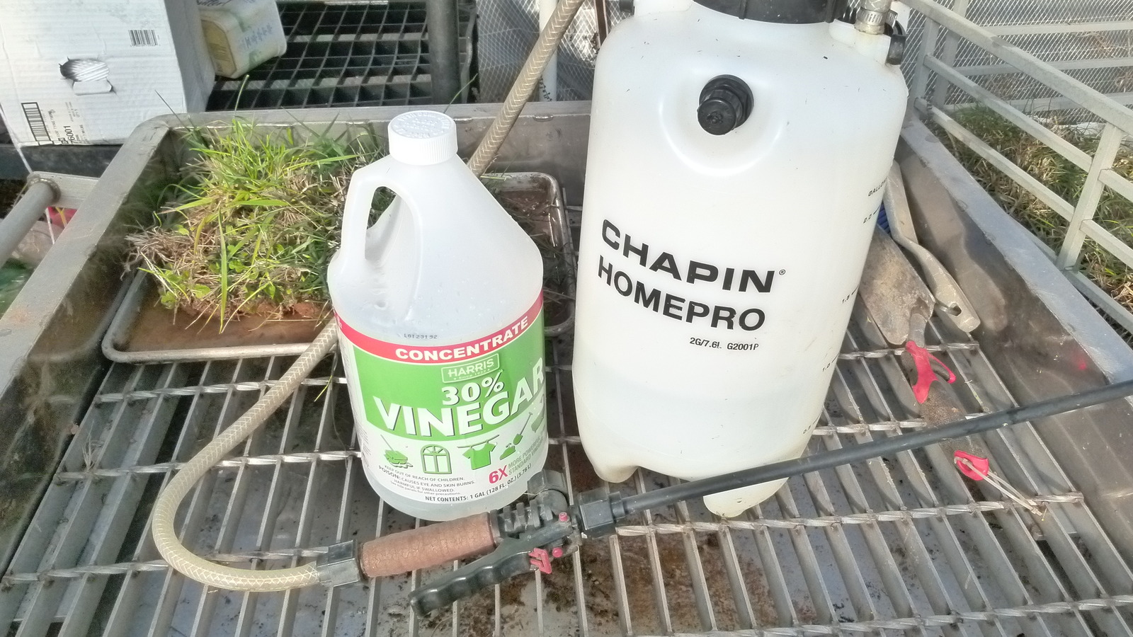 We Tried VinegarBased Weed Killer & These Are Our Top Tips To Do It Safely