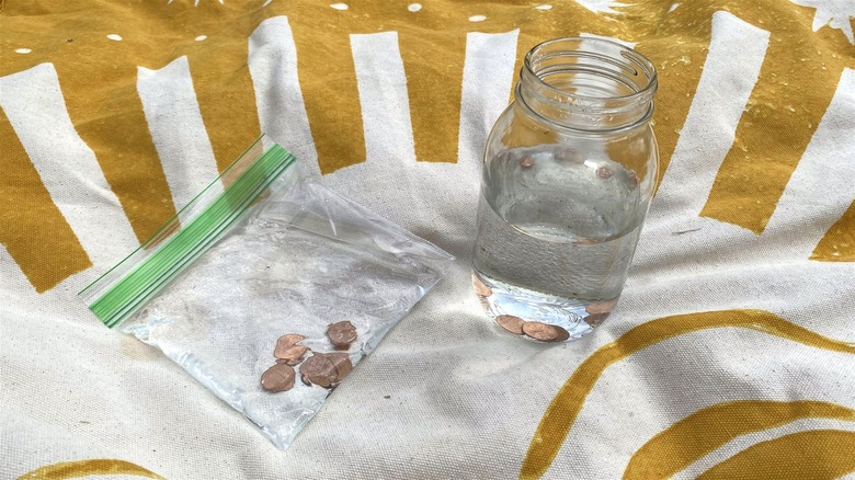 Contenitori con penny e acqua