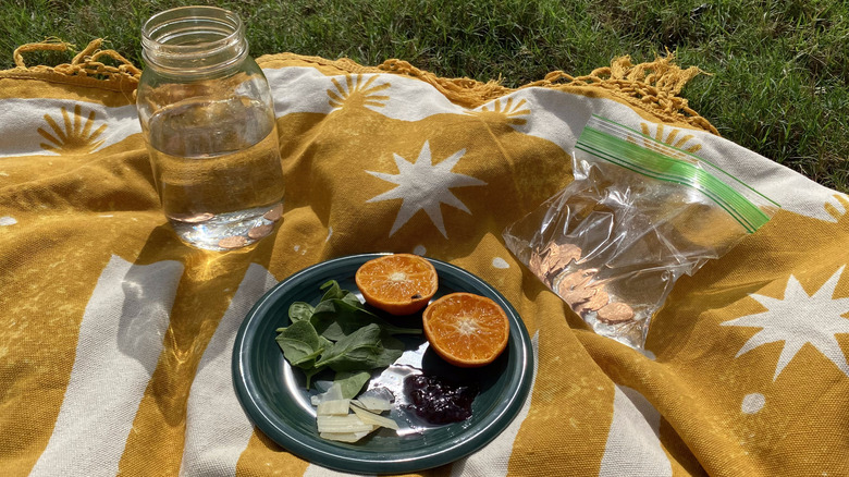 Piatto di cibo, barattolo e borsa sulla coperta da picnic