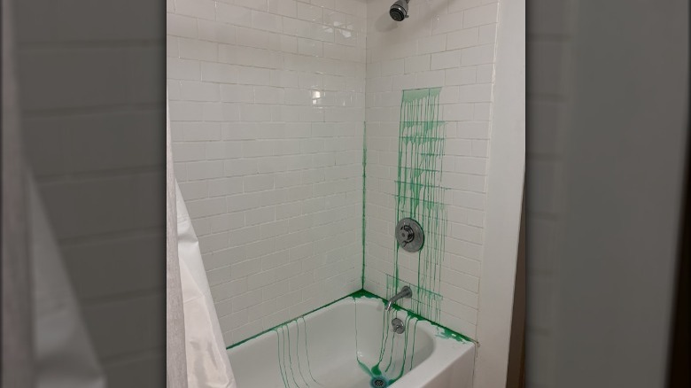 Toilet cleaner in shower