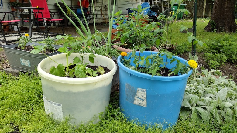 mineral tub planters